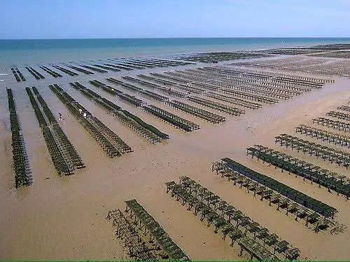 Maison 3 Ch Vue Sur Confortable Lumineuse Belle Terrasse Grand Jardin 10 Mn A Pied De La - Proche Superette Et Omaha