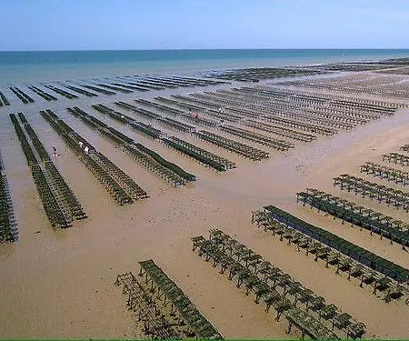 Maison 3 Ch Vue Sur Confortable Lumineuse Belle Terrasse Grand Jardin 10 Mn A Pied De La - Proche Superette Et Omaha